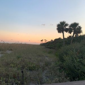 Meet your Posher, Charlotte